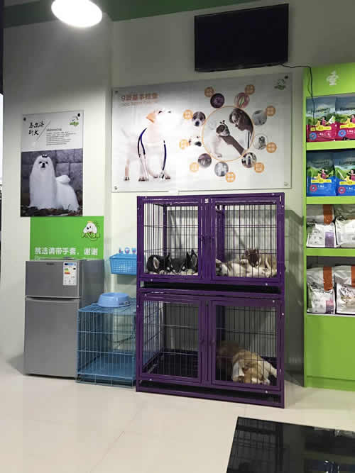 圣寵寵物南通金域廣場連鎖店