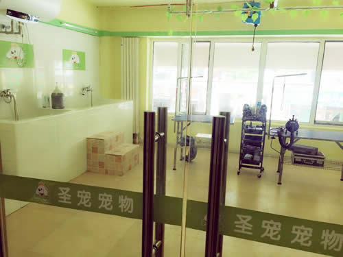 圣寵寵物濱才城吃連鎖店