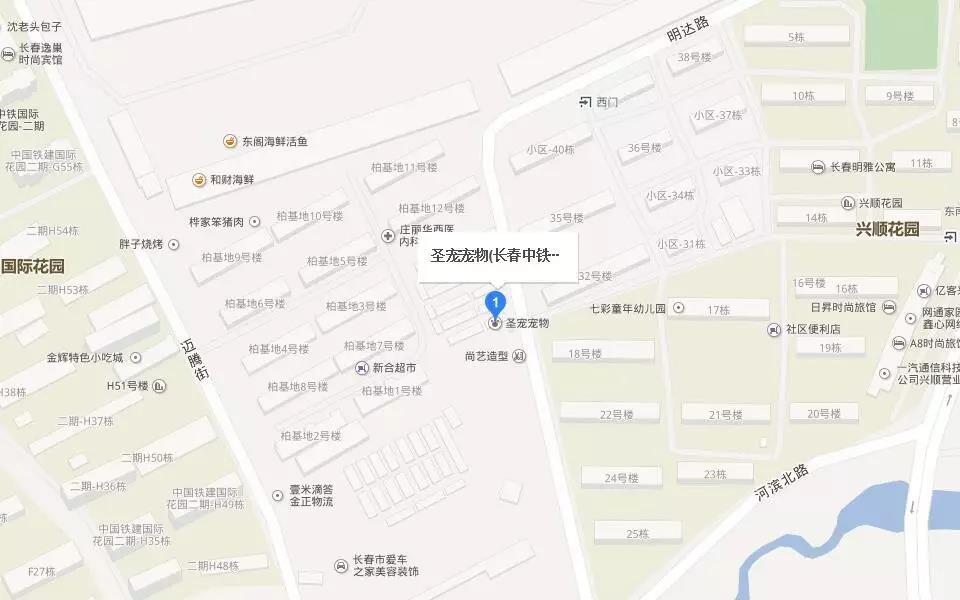 圣寵寵物長春市盛大開業,多重豪禮等你拿
