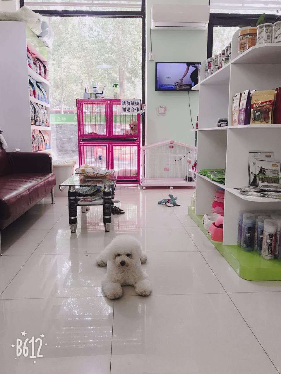 圣寵納帕陽光店9月值日有返現優惠