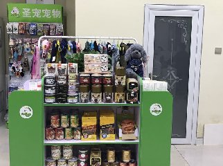 yl醳ǵaƷ^