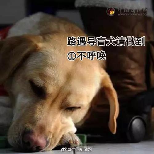 Ը͌äȮͬІ᣿ͬУܽ^