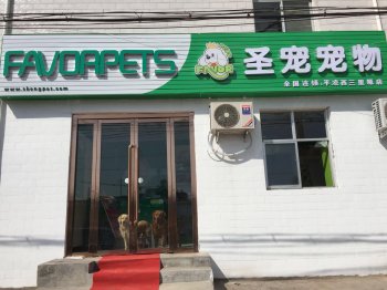 慶祝圣寵寵物平?jīng)鑫魅锏晔⒋箝_(kāi)業(yè)