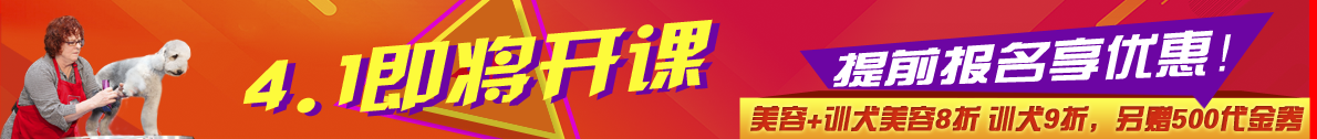 +ZȮ9ZȮ8+ȯ