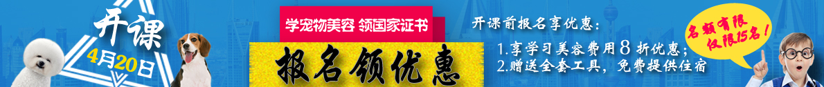 W(xu) I(lng)(gu)C(sh)